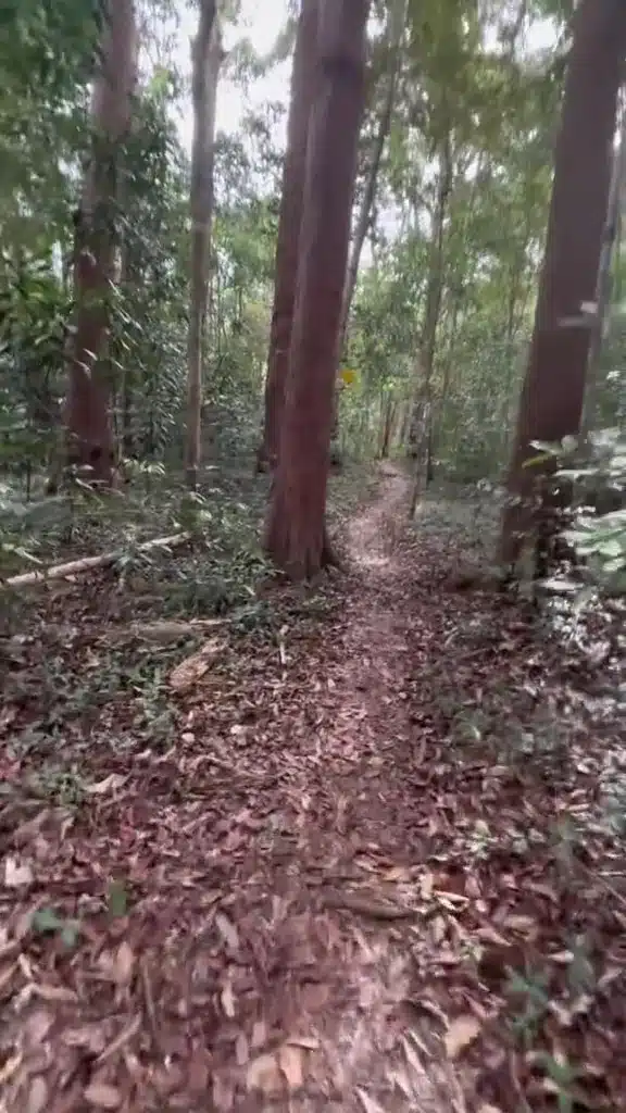 “Uk Ek Uk Ek, Hey Tengok Ni Cu” – Lelaki Hiking Gunung Diusik Suara Riuh Nenek