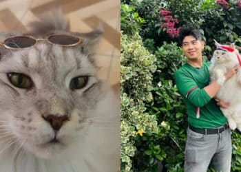 Guru Senior Toksik, Cikgu Junior Lawan Semula & Kumpul Bukti Dalam Google Drive