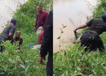“Ni Hok Kawe Punya” Lelaki Marah Geng Penjala, Dakwa Ikan Sungai Pahang Miliknya