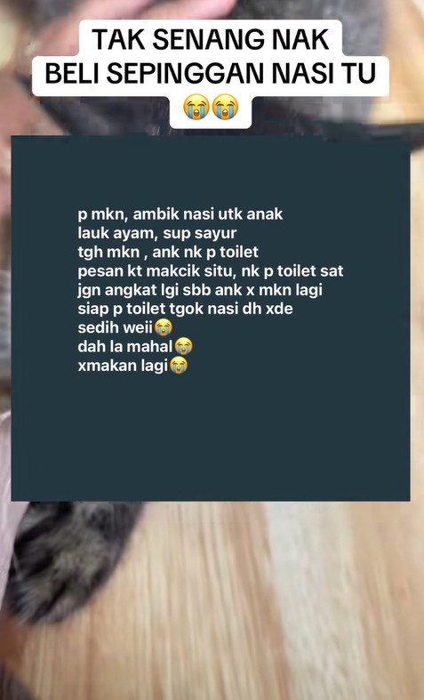 Sudah Beritahu Mahu Ke Tandas, Wanita Hiba Nasi Berlauk RM6 Dibuang Orang Kedai
