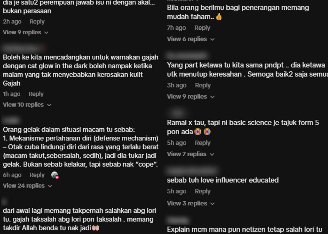 Pemandu Lori Ayam Dituduh Bawa Laju, Penjelasan Wanita Ini Buka Mata Ramai