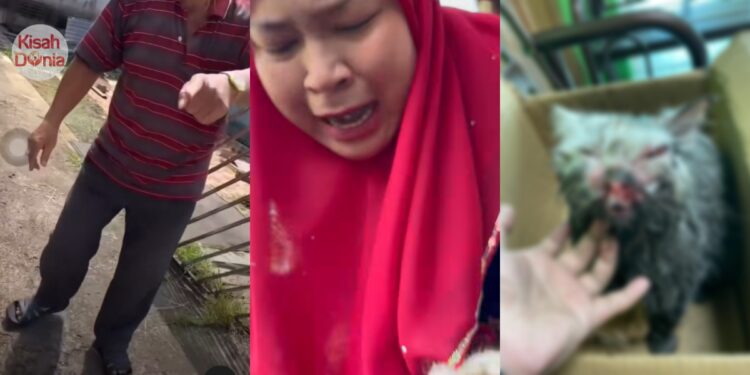 Wanita Cari Kucing Indoor Hilang, Rupanya Jiran Jolok & Sumbat Ke Longkang