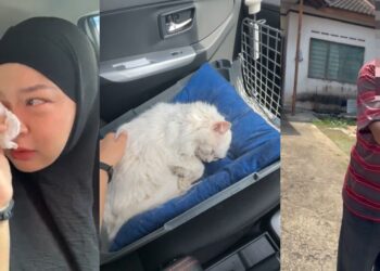 Wanita Cari Kucing Indoor Hilang, Rupanya Jiran Jolok & Sumbat Ke Longkang