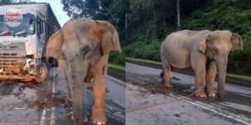 Kubur Anak Digali Semula, Kerongkong & Hempedu Pecah, Rupanya Dianiaya BF Ibu