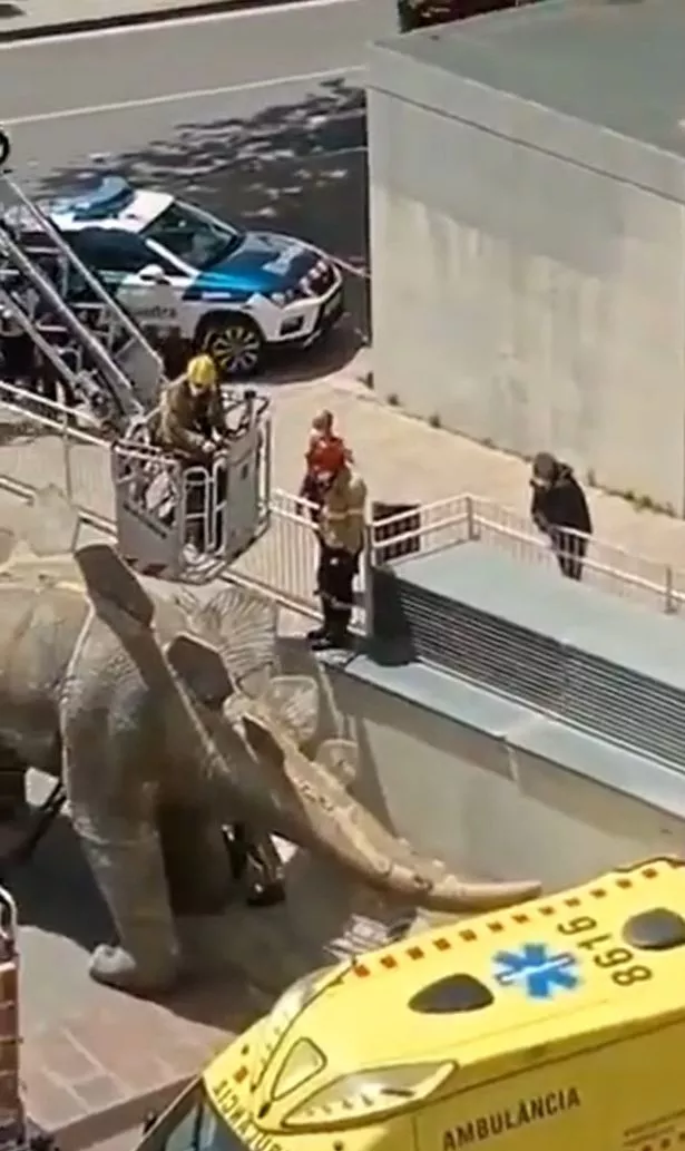 Orang Awam Terhidu Aroma Menyengat, Lelaki Ditemui Membusuk Dalam Kaki Dinosaur