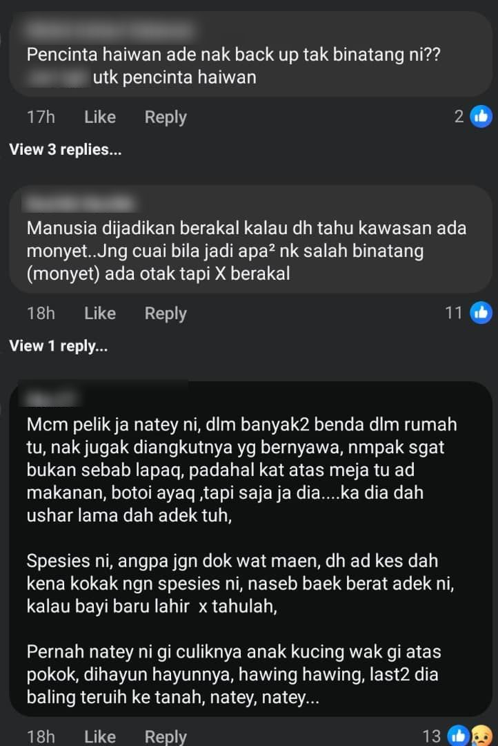 Monyet Masuk Rumah, Cuba Larikan Bayi Yang Ditinggal Berseorangan Di Ruang Tamu