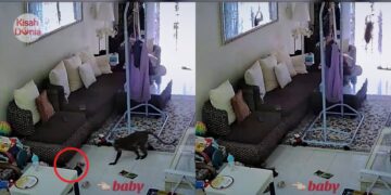 Hilang 3 Anak Akibat Nahas Jalan Raya, Setahun Kemudian Disahkan Hamil Kembar 3
