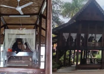 Pakar Surgeri Dermakan Buah Pinggang Pada Isteri, Minta Semula Selepas Bercerai