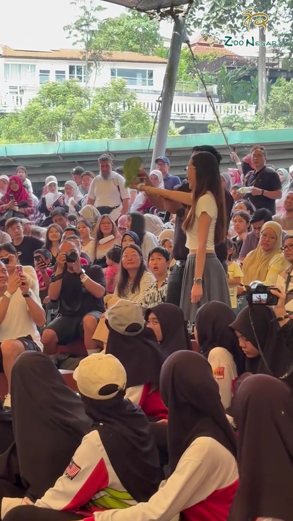 Burung Terbang Bawa Surat “Will You Marry Me”, Lamaran Sweet Di Zoo Negara!