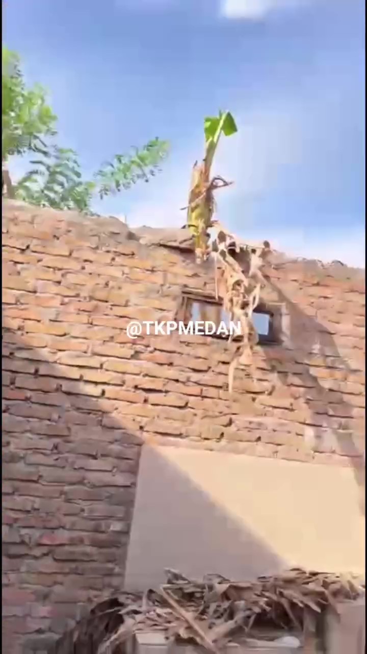 Setahun Sewakan, Pemilik Terkejut Pintu, Tingkap & Bumbung Rumah Dicuri Penyewa