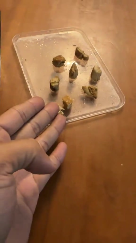 Beli Pasta Berharga RM43.60, Pelanggan Bengang Saiz Ayam Terlampau ‘Comel’