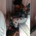 “Adik Abang Tunggu Sini, Abah Kejap Je” Penagih Dicekup Merayu Anak Diselamatkan