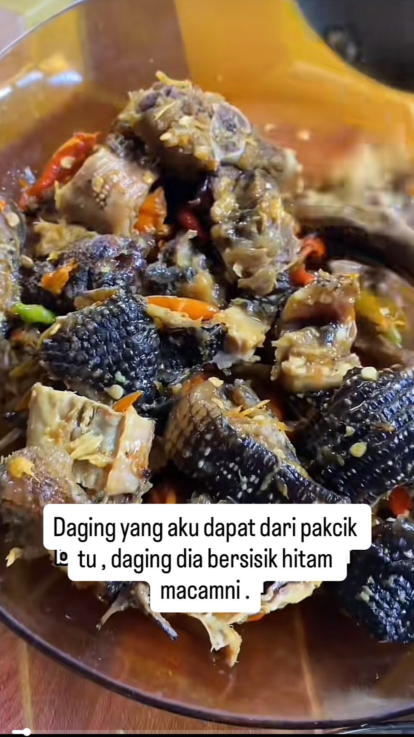 Baru Nak Jamah, Wanita Terkedu Diberi Daging Biawak Oleh Lelaki Tidak Dikenali