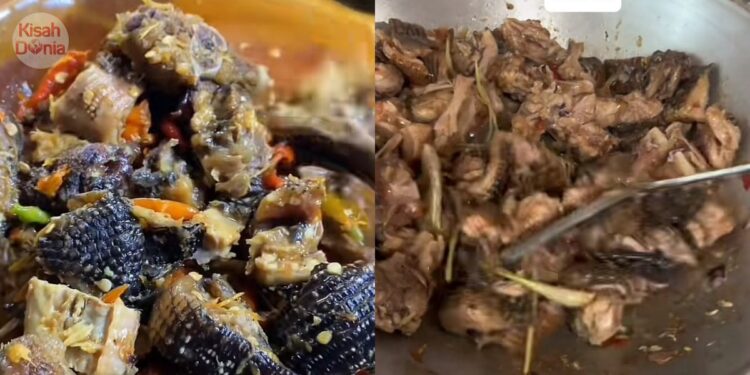 Baru Nak Jamah, Wanita Terkedu Diberi Daging Biawak Oleh Lelaki Tidak Dikenali