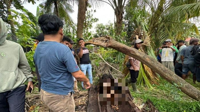 Hilang 2 Tahun Lalu, Rangka Pemuda Didakwa Ditemui Dalam Pokok Kelapa Tumbang