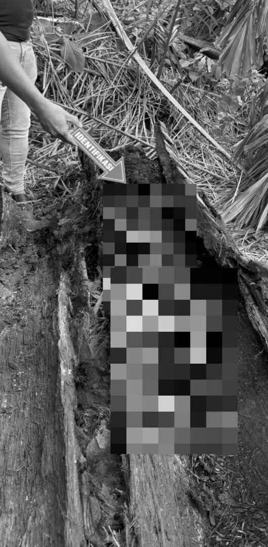 Hilang 2 Tahun Lalu, Rangka Pemuda Didakwa Ditemui Dalam Pokok Kelapa Tumbang
