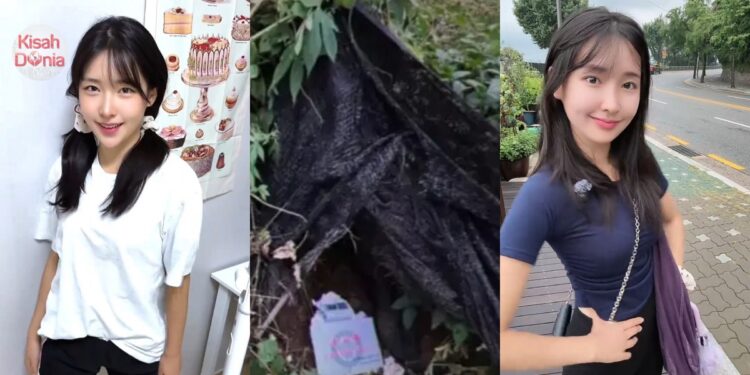 Influencer Disumbat Ke Bagasi & Dibuang Ke Gunung, CEO Syarikat IT Suspek Utama