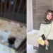 Sebulan Hilang, Ibu 2 Anak Ditemui Dalam Rumah, Badan Dimakan 2 Anjing Belaan