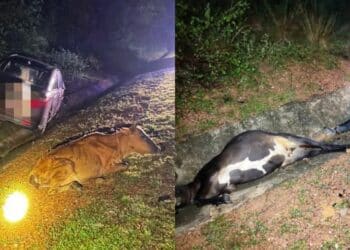 Suami Dapat Kerja ‘Gomen’ Lafaz Cerai : Baju Dibelikan Isteri Hasil Jualan Sayur