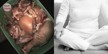 Housemate Pengotor, Bau Hanyir Ikan Masa Bersila, Simpan Ayam Mentah Di Almari