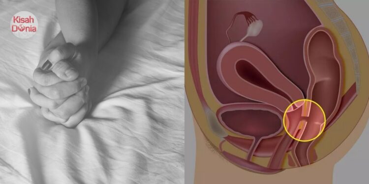 Najis Keluar Ikut Miss V, Isteri Curang Buat Benda Luar Tabii Dengan Lelaki Lain