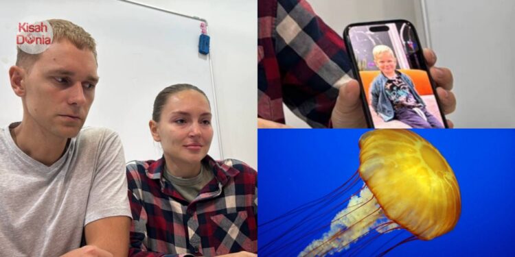 Kanak-Kanak Rusia Berumur 2 Tahun ‘Tewas’ Disengat Ubur-Ubur Di Langkawi