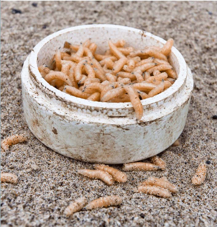 Suami Biar Sampah Berulat 3 Hari, Isteri Czer Turun Buang Tergolek 8 Anak Tangga