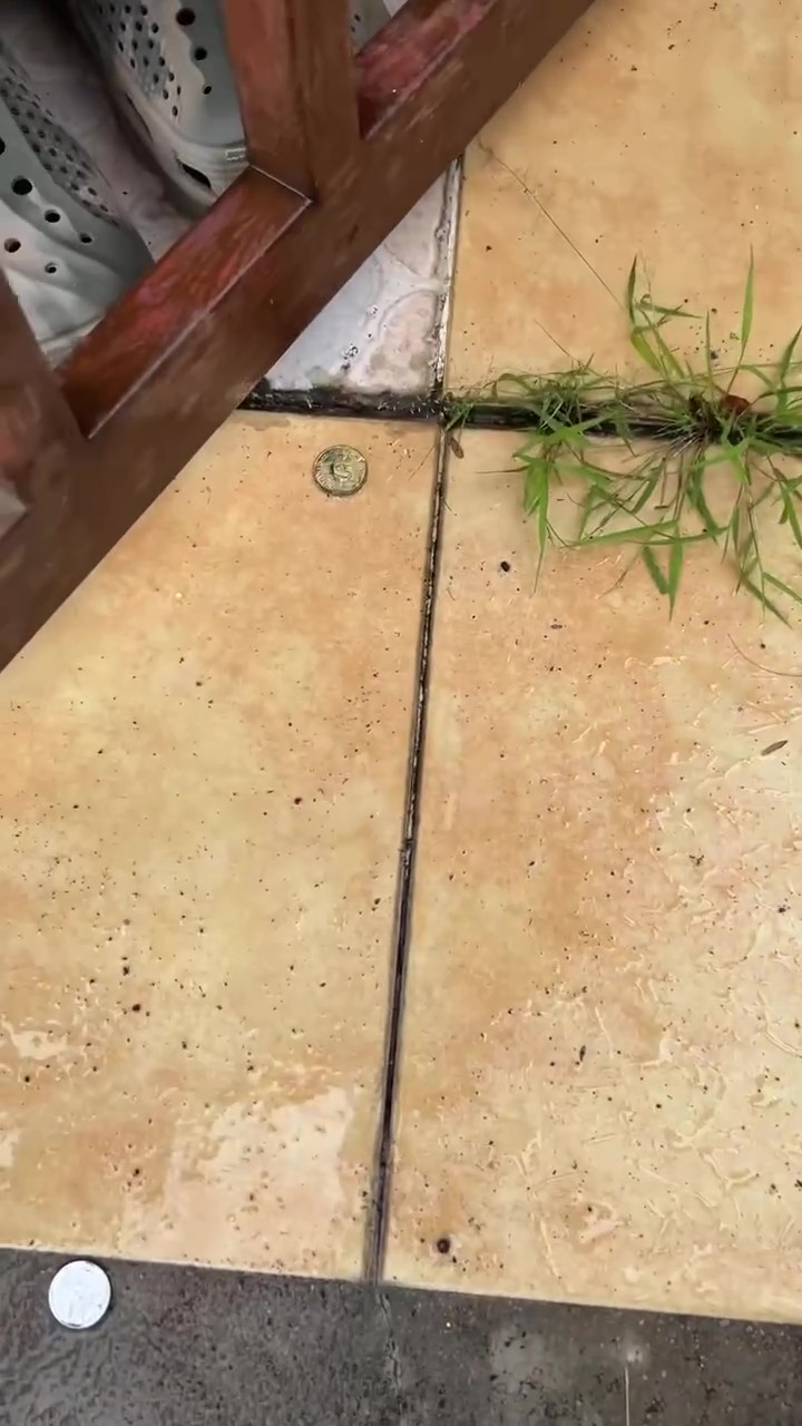 Kutip Syiling Terabur Yang Rupanya Sihir, Anak Sekolah Madrasah Jadi Tidak Waras