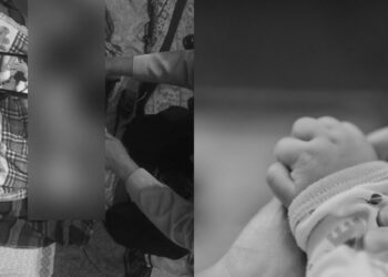 Tiada Niat Rendahkan Golongan SPM, Dr Malar Mohon Maaf Isu Berkaitan Faiz Soul