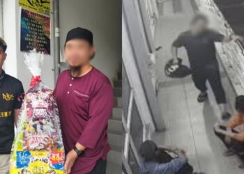 Tiada Niat Rendahkan Golongan SPM, Dr Malar Mohon Maaf Isu Berkaitan Faiz Soul