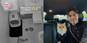 Selamat Jalan “Jellybean”, Kucing Kesayangan Johanandhiscats Pergi Mengejut