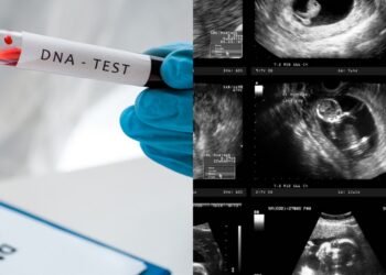 “Video Ada, Nanti Tengok Siapa Salah” – Rakan Pelumba Haram Harap Ada Keadilan