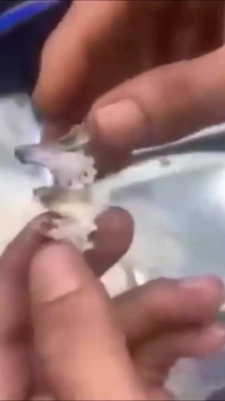 20 Tahun Mandul, Wanita Temui Kertas Jampi Dalam Barang Kemas Pemberian Kawan