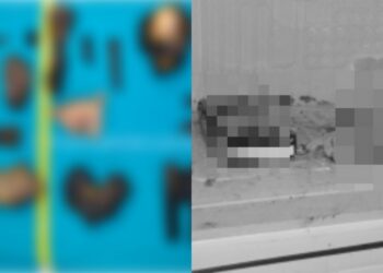 Suruh Anak Hantar Lauk Pada Jiran Tua, Akhirnya Hamil, Perut Disorok Tudung