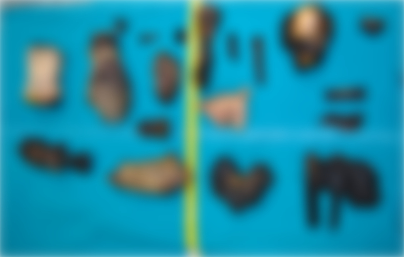 Ibu Dianiaya Anak, Serat Ditemui Dalam Najis – “Direbus, Dipanggang & Dimakan”