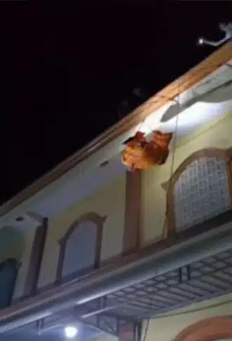 Pelik Ada Ulat Atas Lantai, 2 Lelaki Hilang Ditemui Membusuk Atas Bumbung Masjid