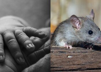 Nikah Di Thai Sebab Keluarga Tak Restu, Suami Tunang Dengan Orang Lain Raya Ke-5