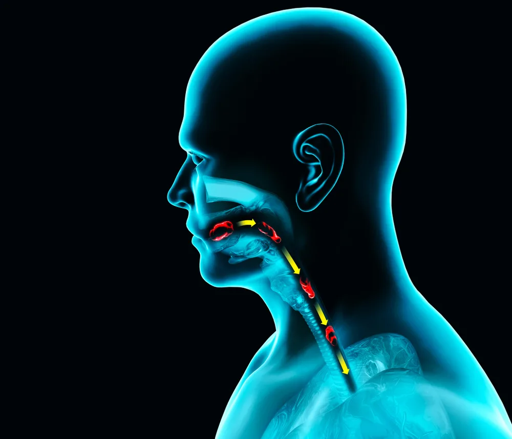 Kubur Digali Balik Lepas 383 Hari, Biskut Rungkai Punca Sebenar Kematian Nenek