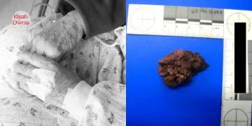 Niat Sara Nenek, Pempengaruh OKU ‘Tewas’ Lepas Dicabar Teguk 700ml Minuman Keras