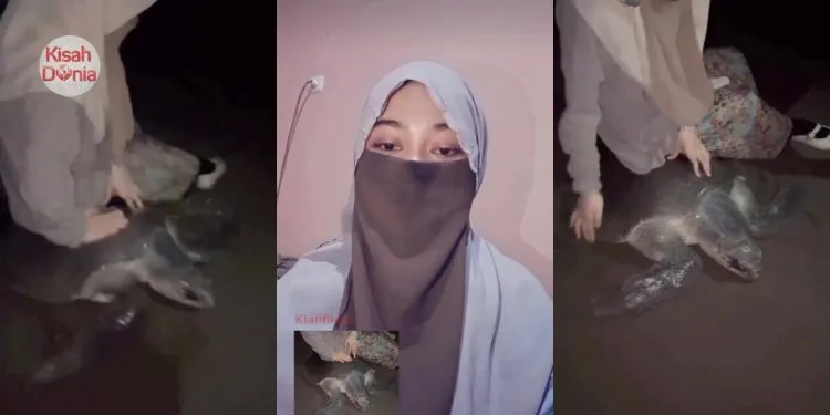 Wanita Berpurdah Mohon Maaf Duduk Atas Penyu, Teruja Nampak Pertama Kali