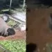 Kemelut Keluarga Jutawan Thailand, Adik ‘Diratah’ Abang Kandung Sejak 10 Tahun