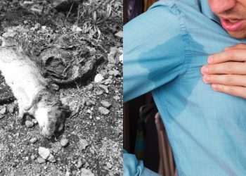 Branch Manager Simbah Kuah Oden Ke Food Rider – “Boleh Tunggu Tak? Saya Busy Ni”