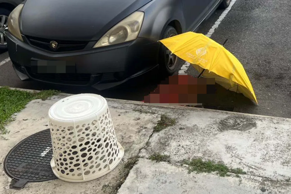 Buang Dari Tingkat 10 : Wanita Mohon Jaminan, Mahu Jaga Seorang Lagi Bayi