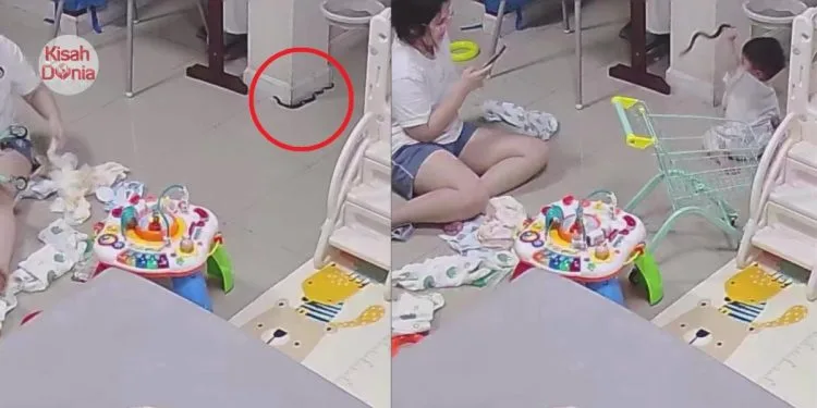 Anak Seronok Main Dengan Tali Di Ruang Tamu, Rupanya Ular Hitam