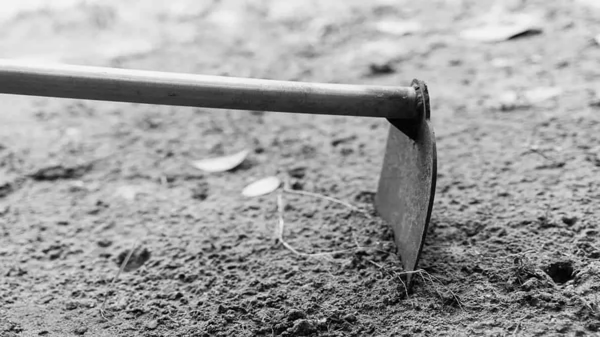 Kubur Budak Digali Lepas 2 Bulan, Sperma Mengering Bongkar Jenayah Bapa Tiri