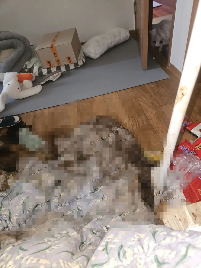 Diabai Suami, Isteri Terlantar Di Kerusi Urut Hingga Berulat, Bergelumang Najis