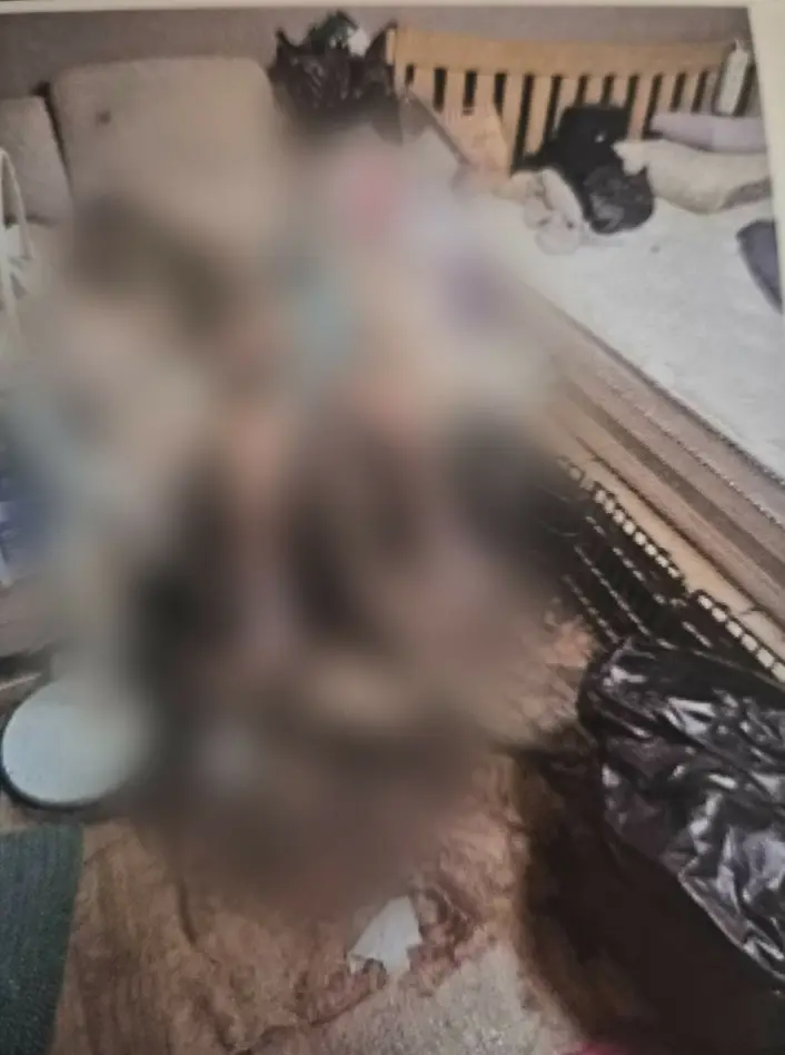 Diabai Suami, Isteri Terlantar Di Kerusi Urut Hingga Berulat, Bergelumang Najis