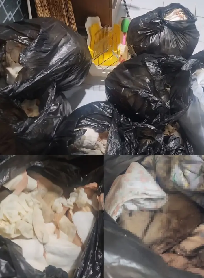 Diabai Suami, Isteri Terlantar Di Kerusi Urut Hingga Berulat, Bergelumang Najis