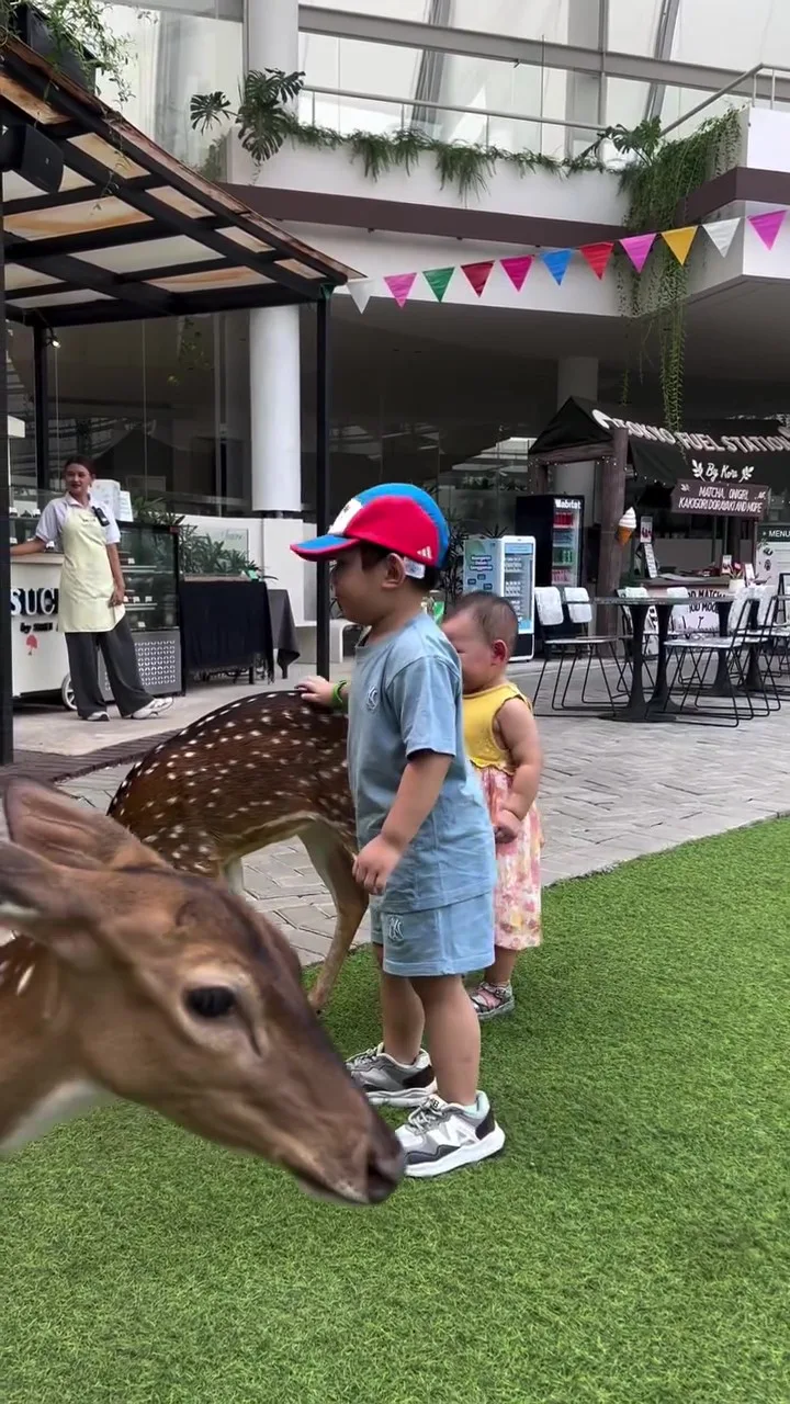 “Katanya Kids Friendly”-Ibu Terkejut Anak Tiba-Tiba Digigit Ketika Usap Rusa