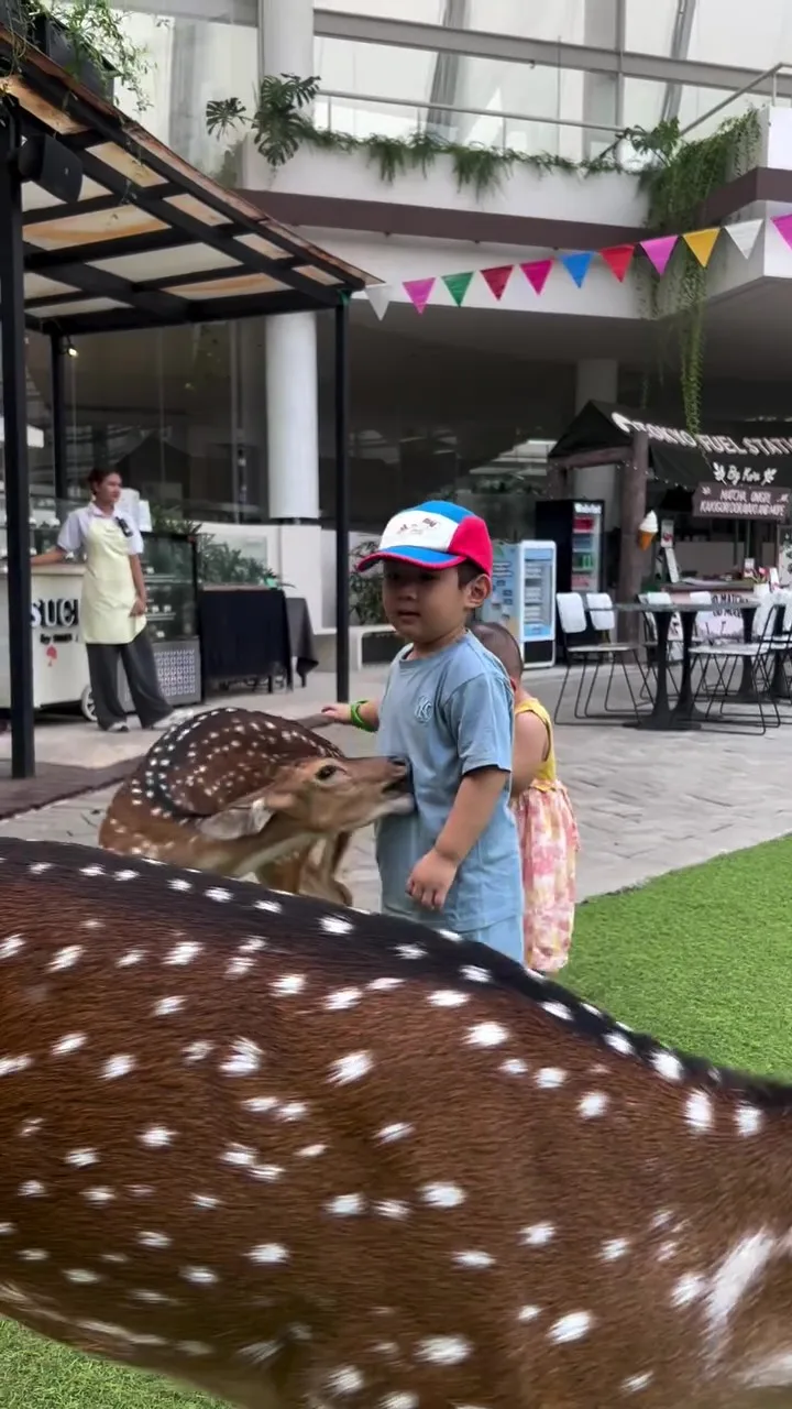 “Katanya Kids Friendly”-Ibu Terkejut Anak Tiba-Tiba Digigit Ketika Usap Rusa